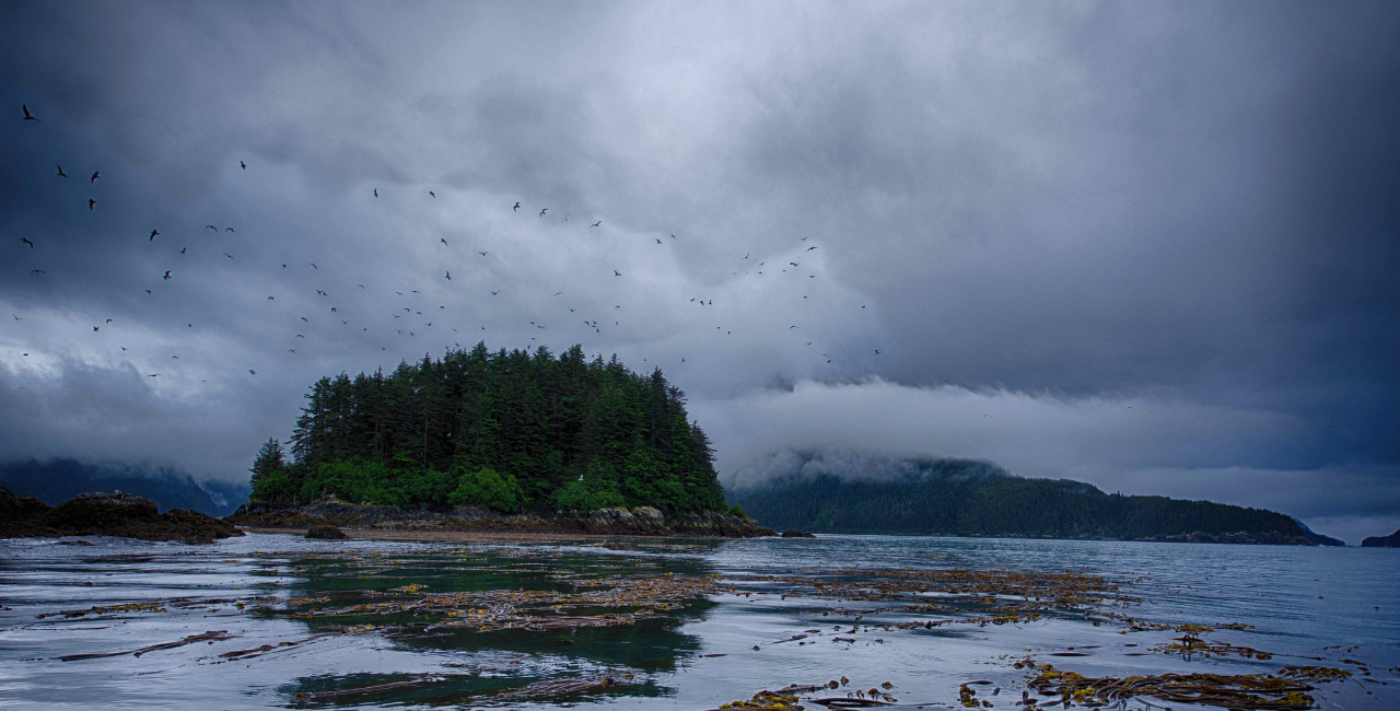 Alaska Peninsula Montane Taiga One Earth   Alaskan Coastline Kodiak Island Shoreline CC 